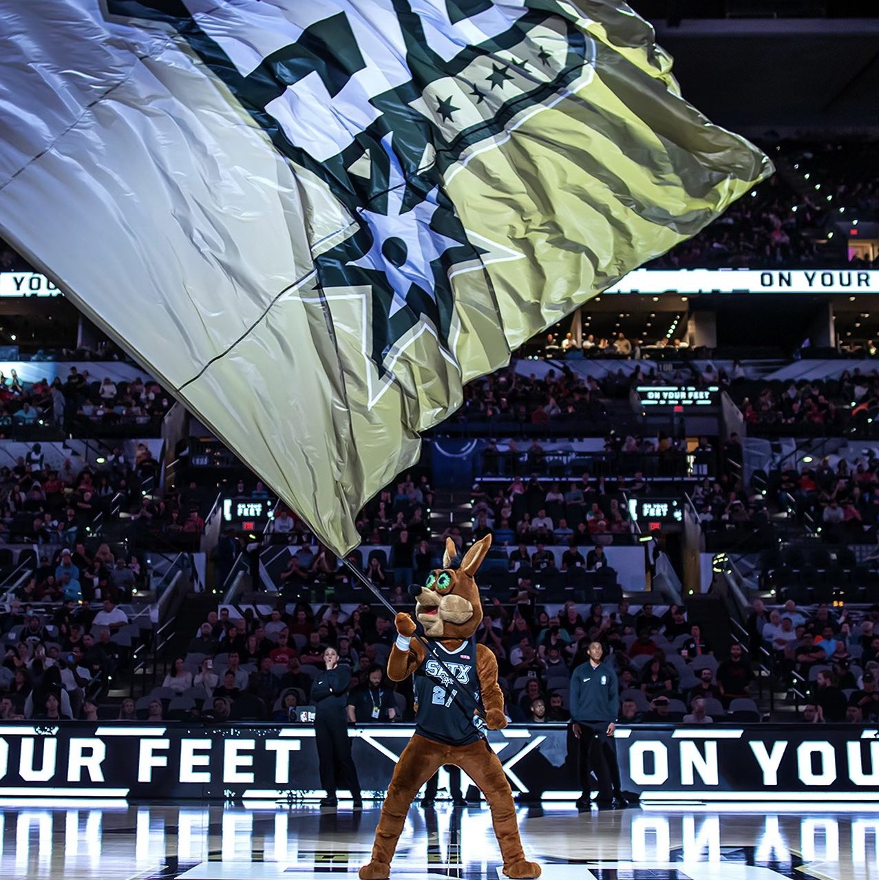 了悬念和观 了悬念和观